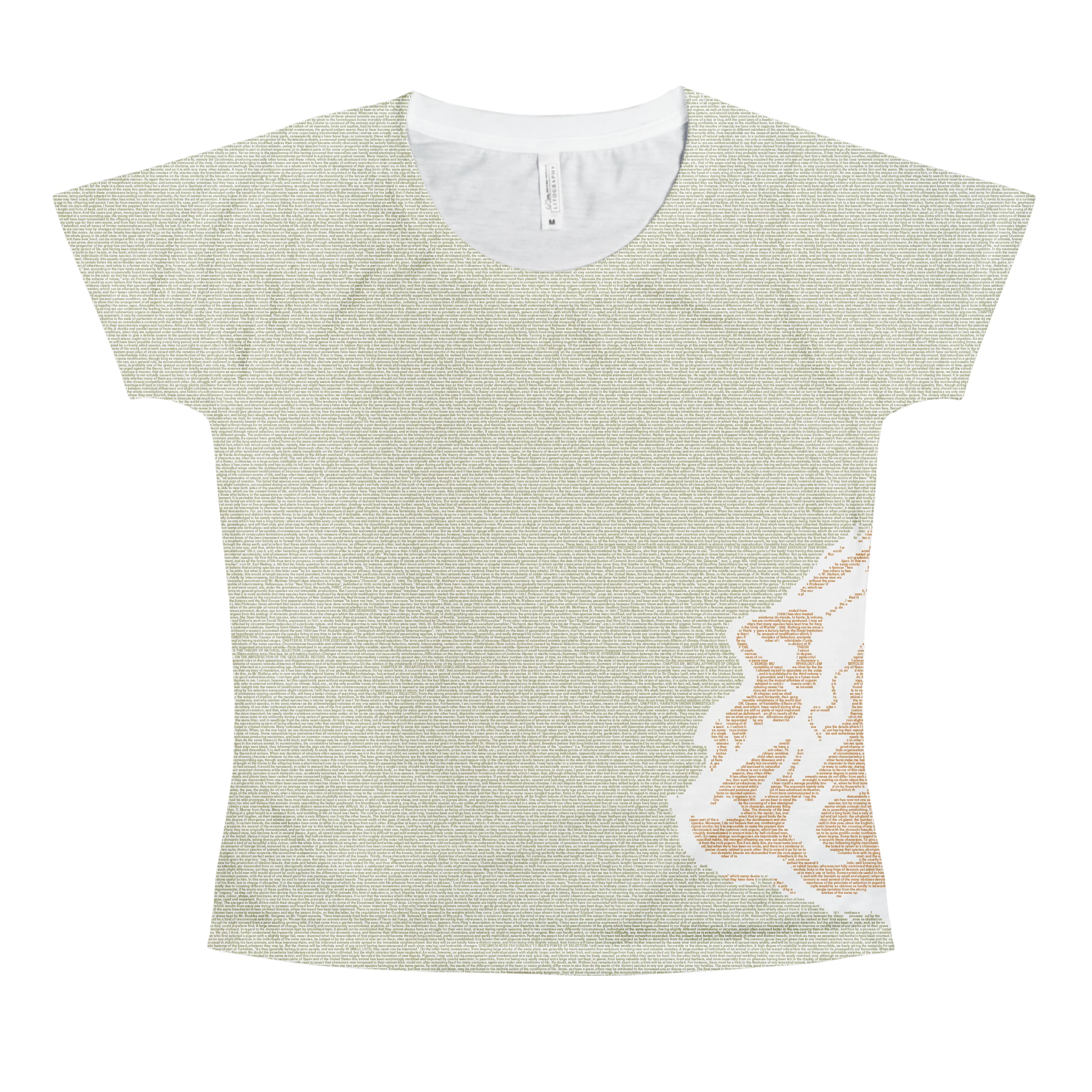 Product image 66