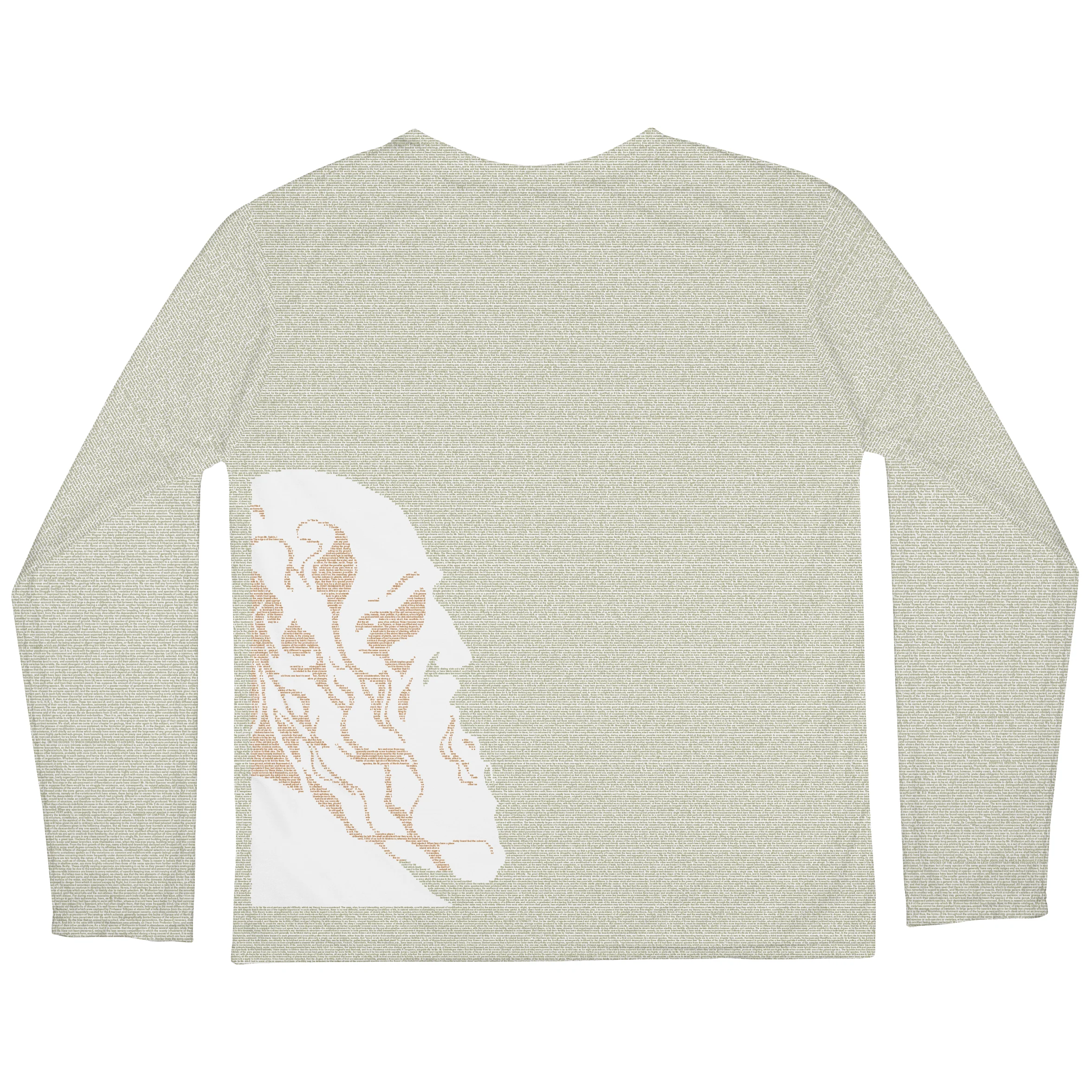 Product image 81