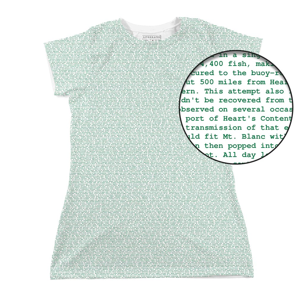 Product image 71