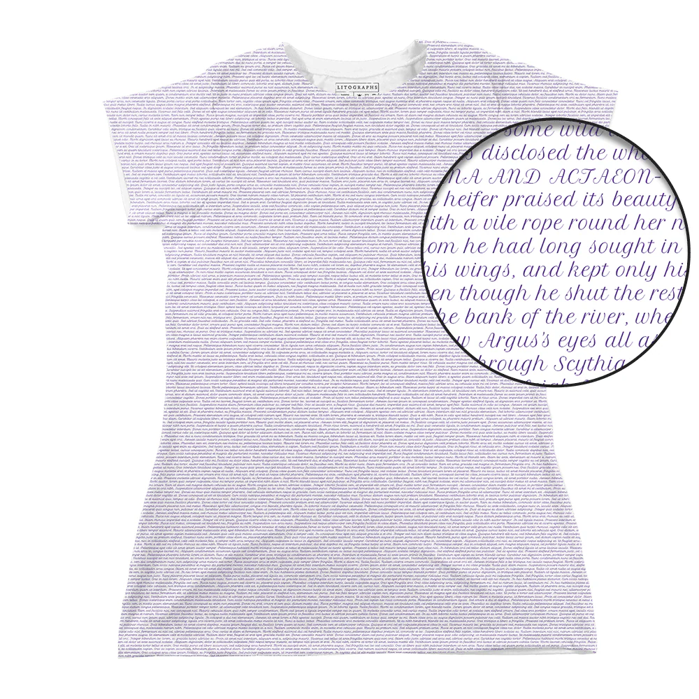 Product image 81
